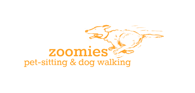 Zoomies Logo.png